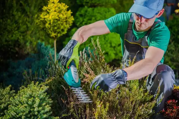 landscaping services Norwood